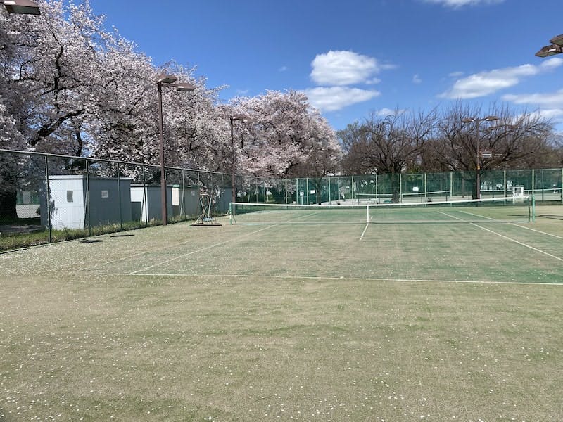 ソフトテニス部